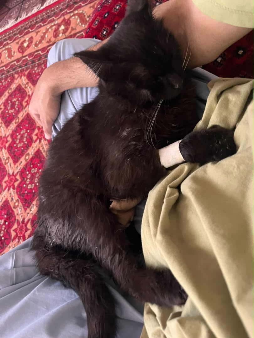 Madelyn resting and recovering